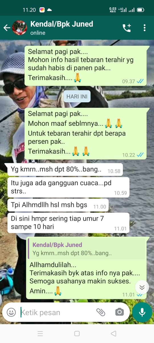 Testimoni Pelanggan Bibit Bandeng Putra Bahari
