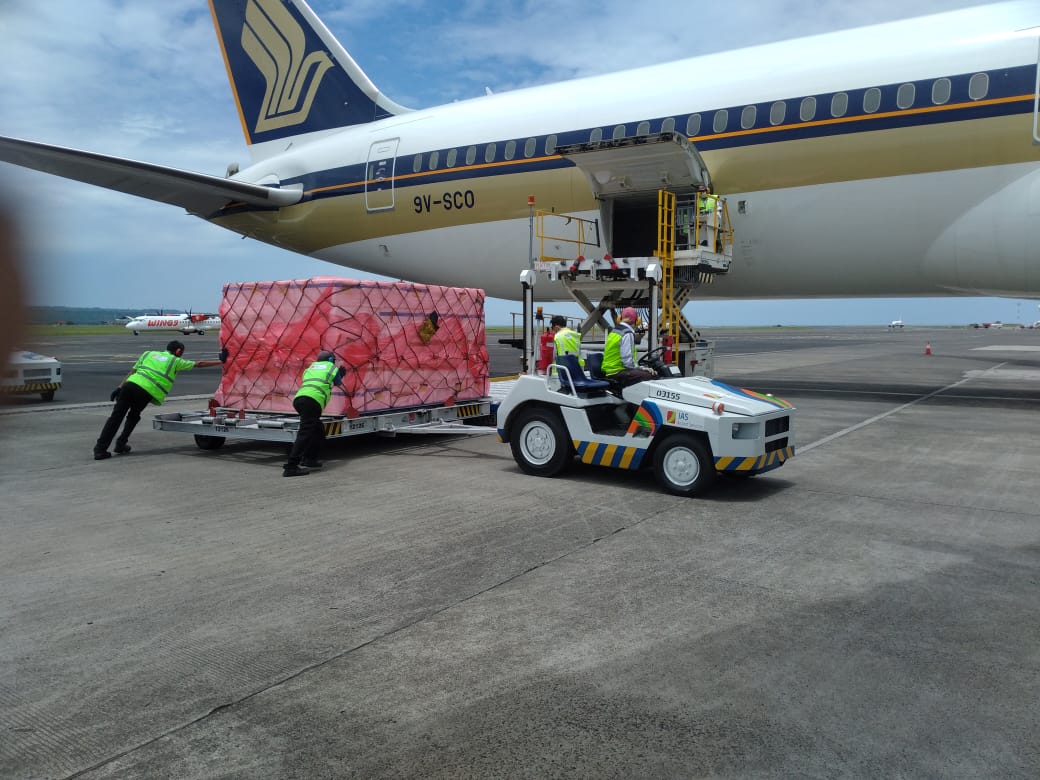 Packing Ekspor  Benih Bandeng / Nener Tujuan Manila Jumat,25 Februari 2022 Gread B ( Regular Size )